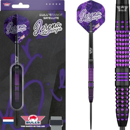 Bull’s Lerena Rietbergen 90% 24g Steeltip